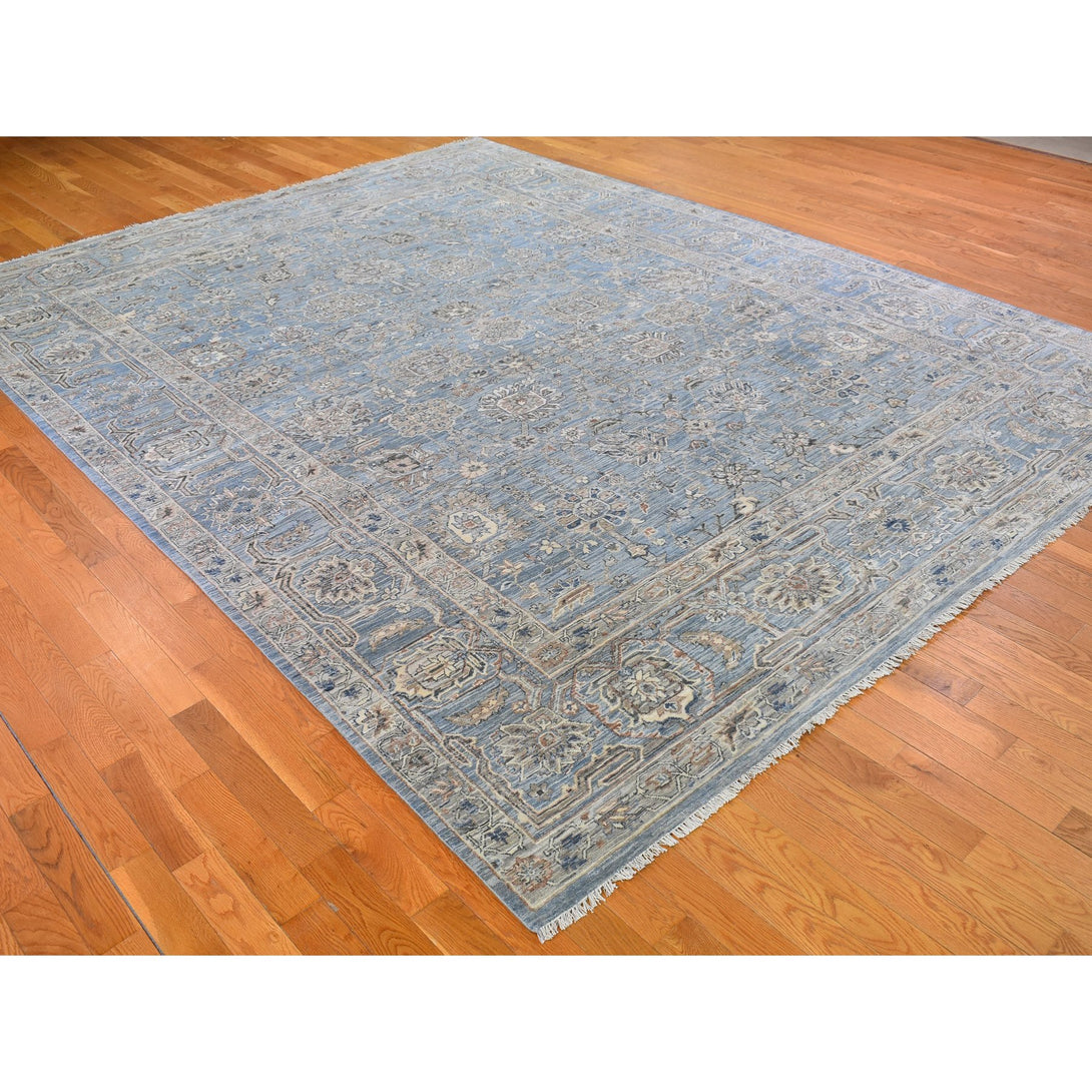 Hand Knotted Traditional Decorative Area Rug > Design# CCSR66478 > Size: 9'-0" x 12'-0"